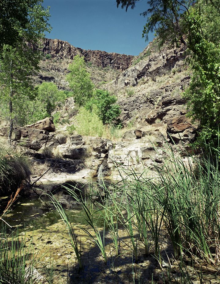 plate: 1043 plate: 1043