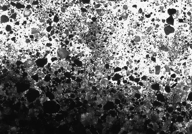 Tierra #1, 2012, toned gelatin silver print, 19 x 23", Ed. 15 tierra 1 newLB.jpg