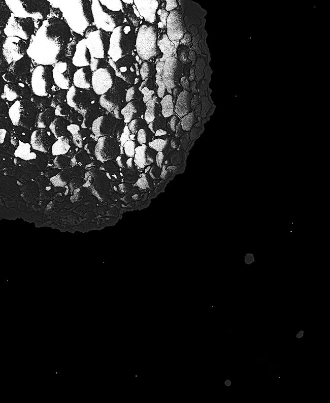 Tierra #7, 2012, pigment on baryta paper from negative, 23 x 19", Ed. 15 Tierra 7 newLB.jpg