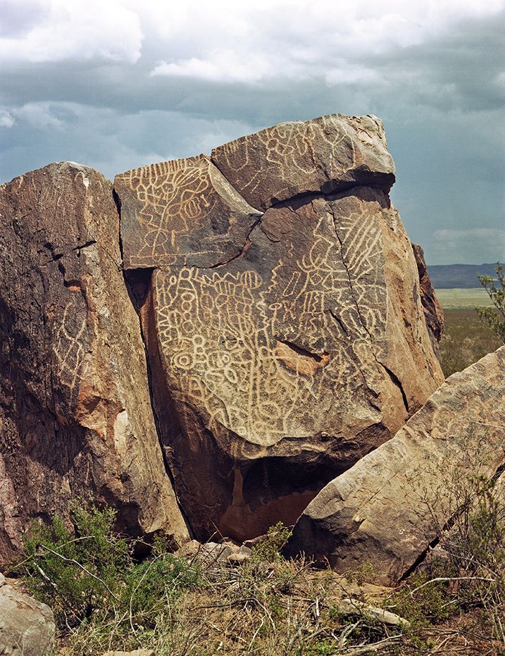 plate: 1029 plate: 1029