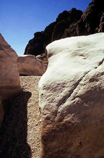 plate: 1004 plate: 1004