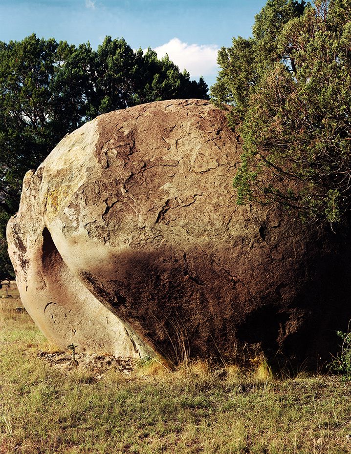 plate: 1042 plate: 1042