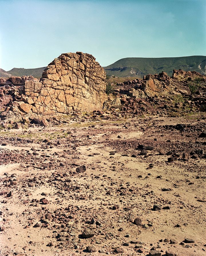 plate: 1101 plate: 1101