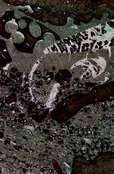 Thin Section IV., 2009, pigment print, 35 x 23", Ed. 10 Thin Section IV