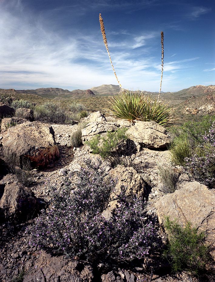 plate: 1041 plate: 1041