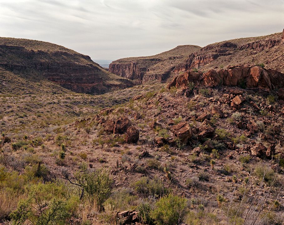 plate: 1057 plate: 1057