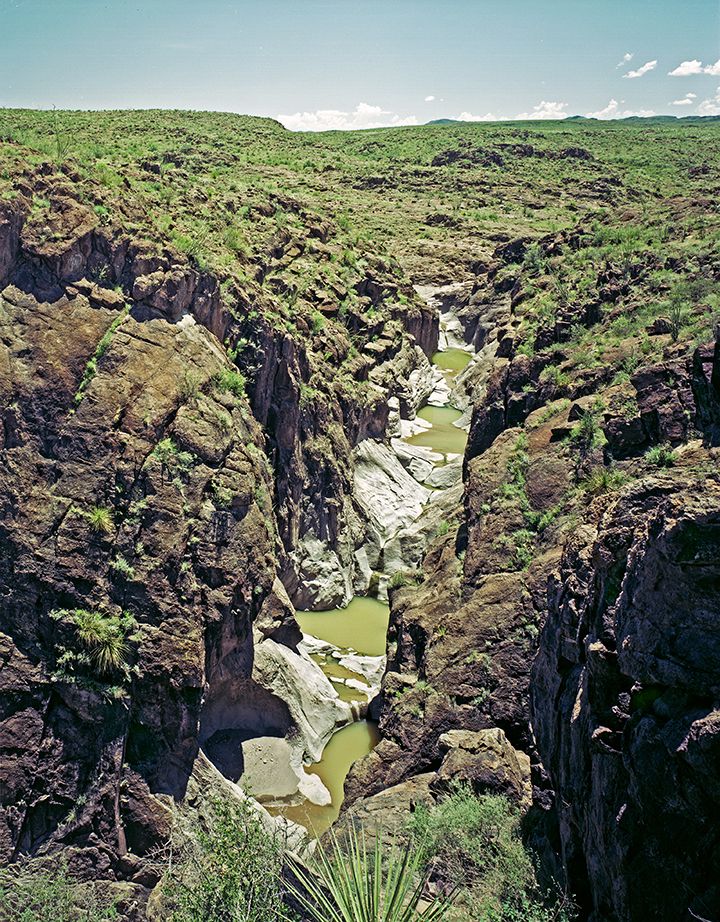 plate: 1049 plate: 1049