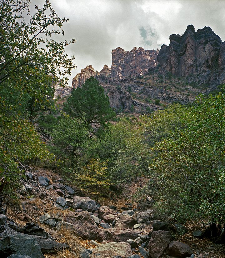 plate: 1010 plate: 1010