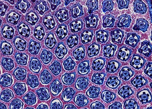 Stem Detail, 2005, pigment print, image 12 x 16 1/2", paper: 13 x 19", edition 15 Stem Detail