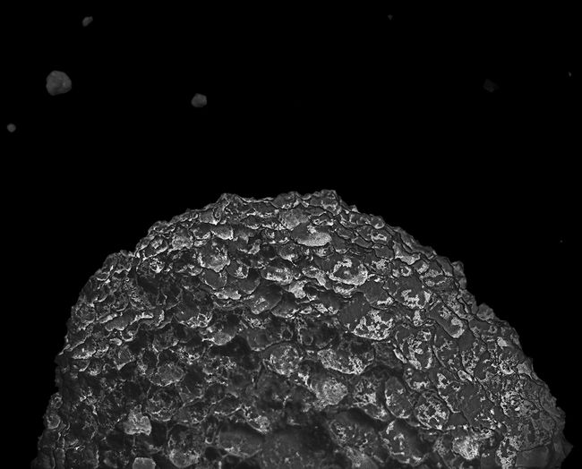 Tierra #8, 2012, pigment on baryta paper from negative, 19 x 23", Ed. 15 Tierra 8 newLB.jpg