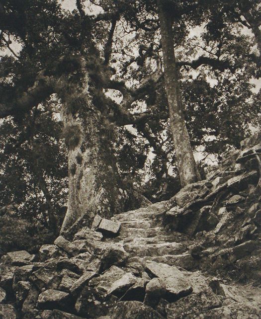 Plate IV.,  Steps copan IV LB copy.jpg