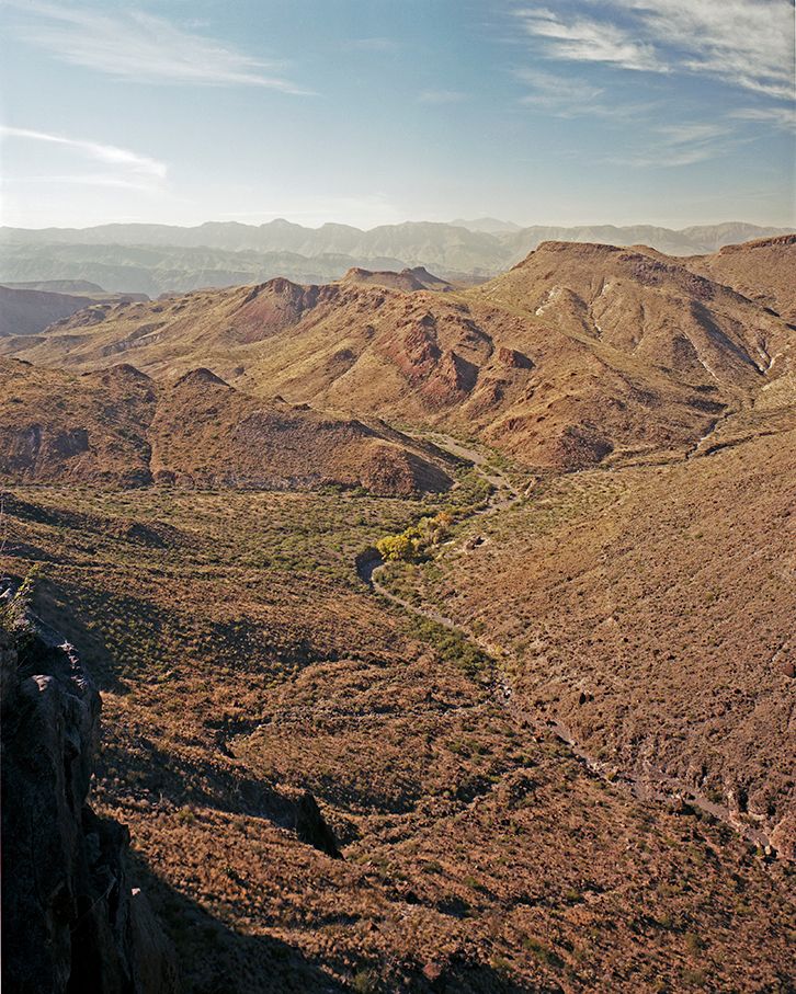 plate: 1056 plate: 1056