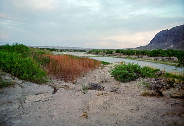 plate: 1001 plate: 1001