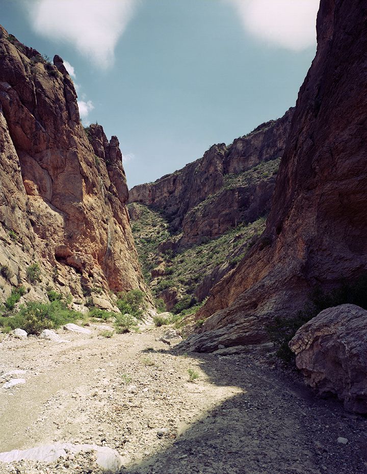 plate: 1050 plate: 1050