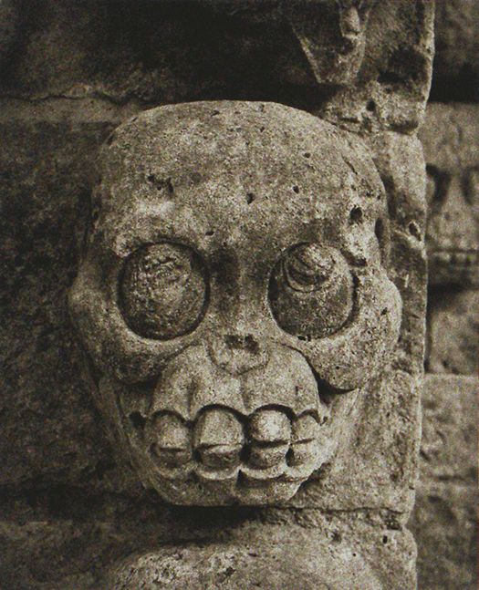 Plate VI.,  Skull Motif copan VI LB copy.jpg