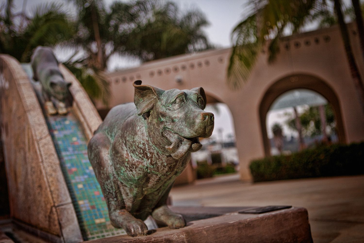 Electrical Design-Build San Diego Humane Society and SPCA