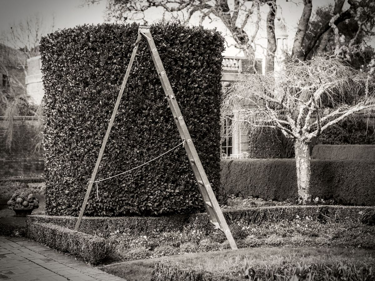 The Gardens BW_18.jpg