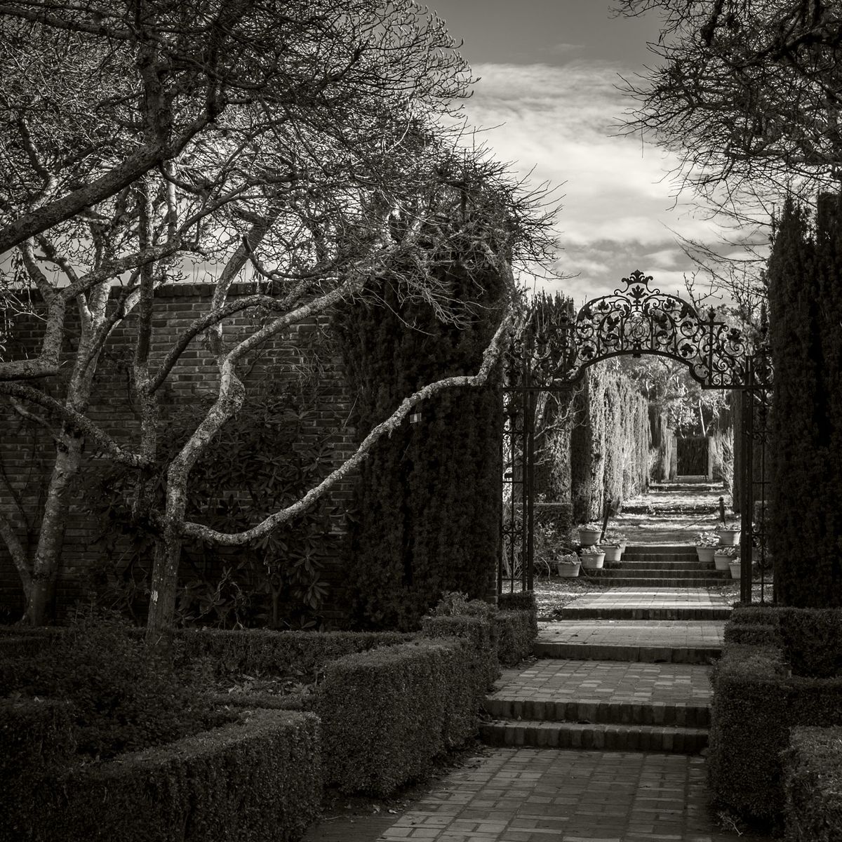 The Gardens BW_19.jpg