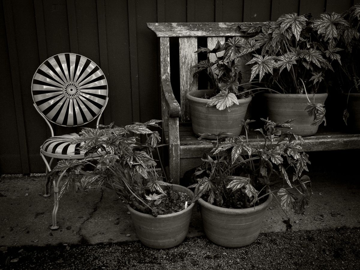 The Gardens BW_11.jpg