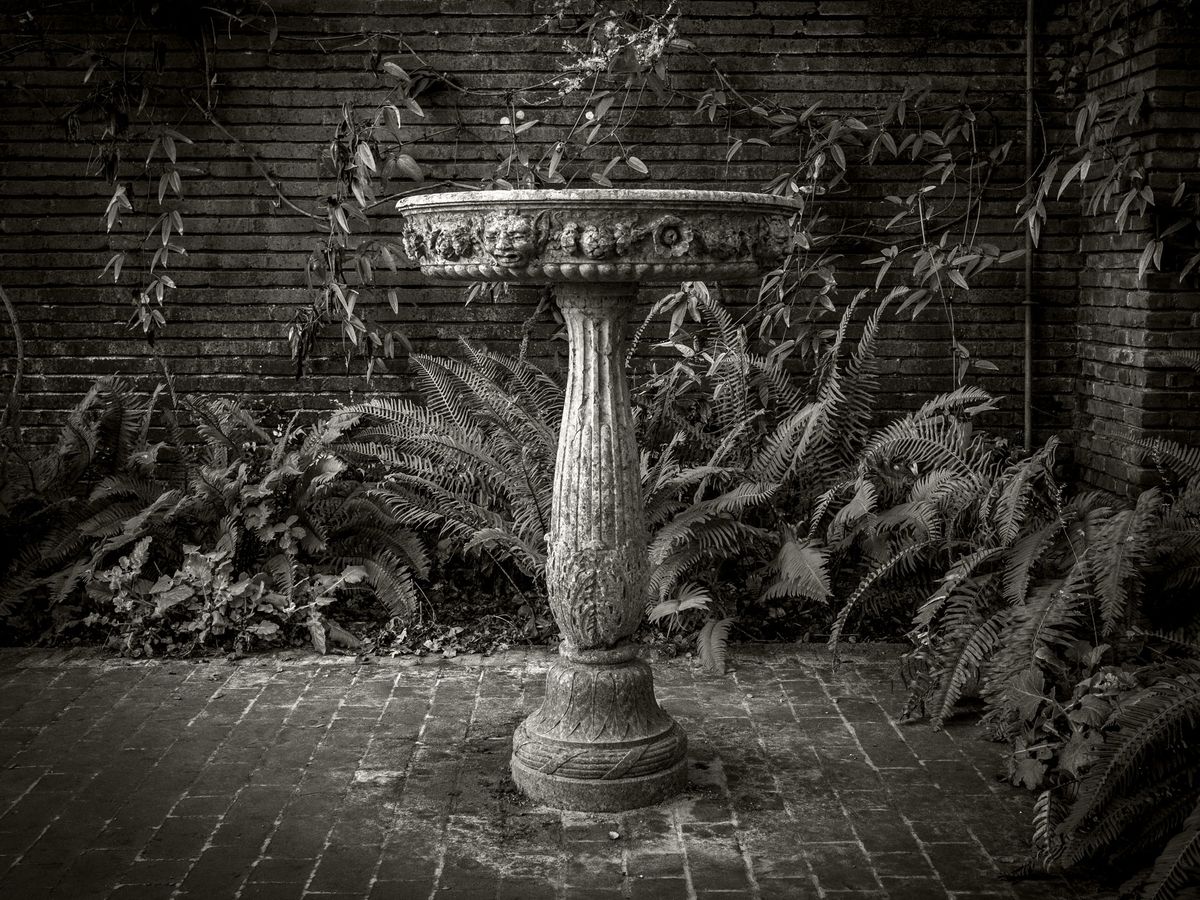 The Gardens BW_16.jpg