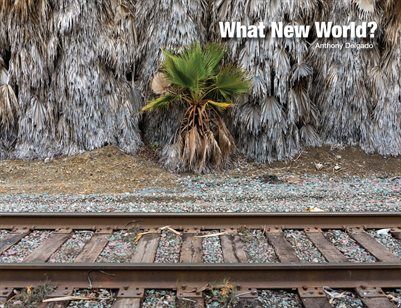 What New World? cover
