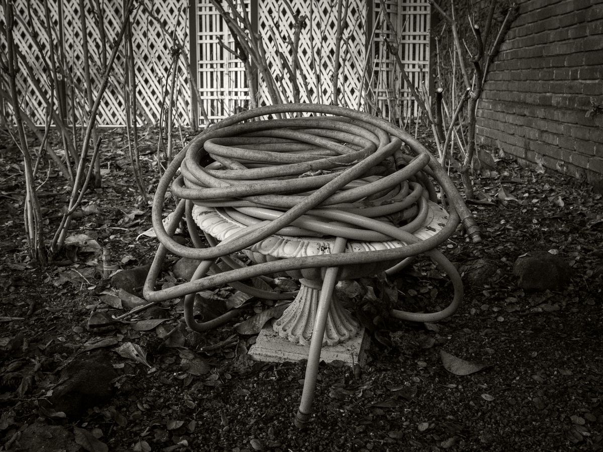 The Gardens BW_12.jpg