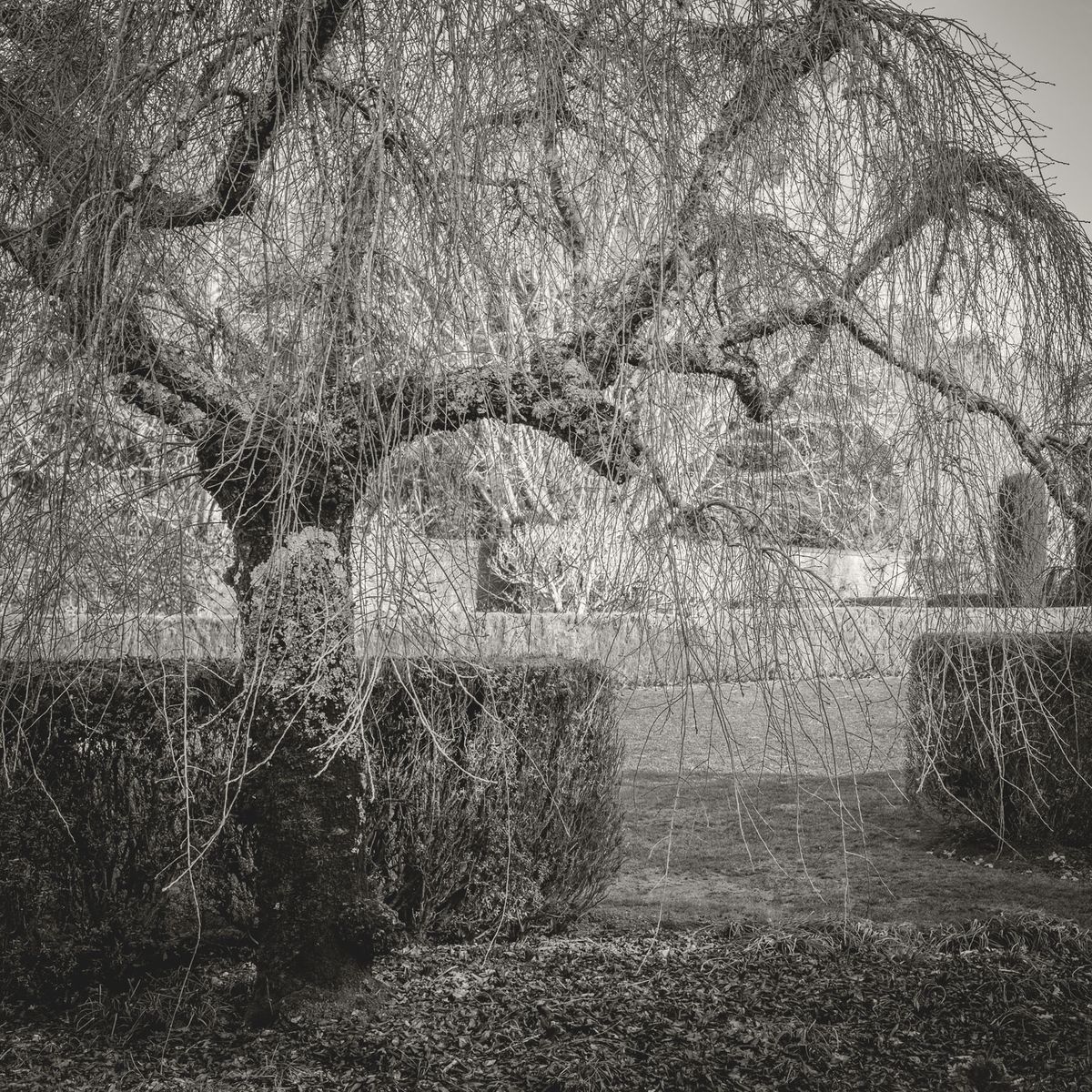 The Gardens BW_20.jpg