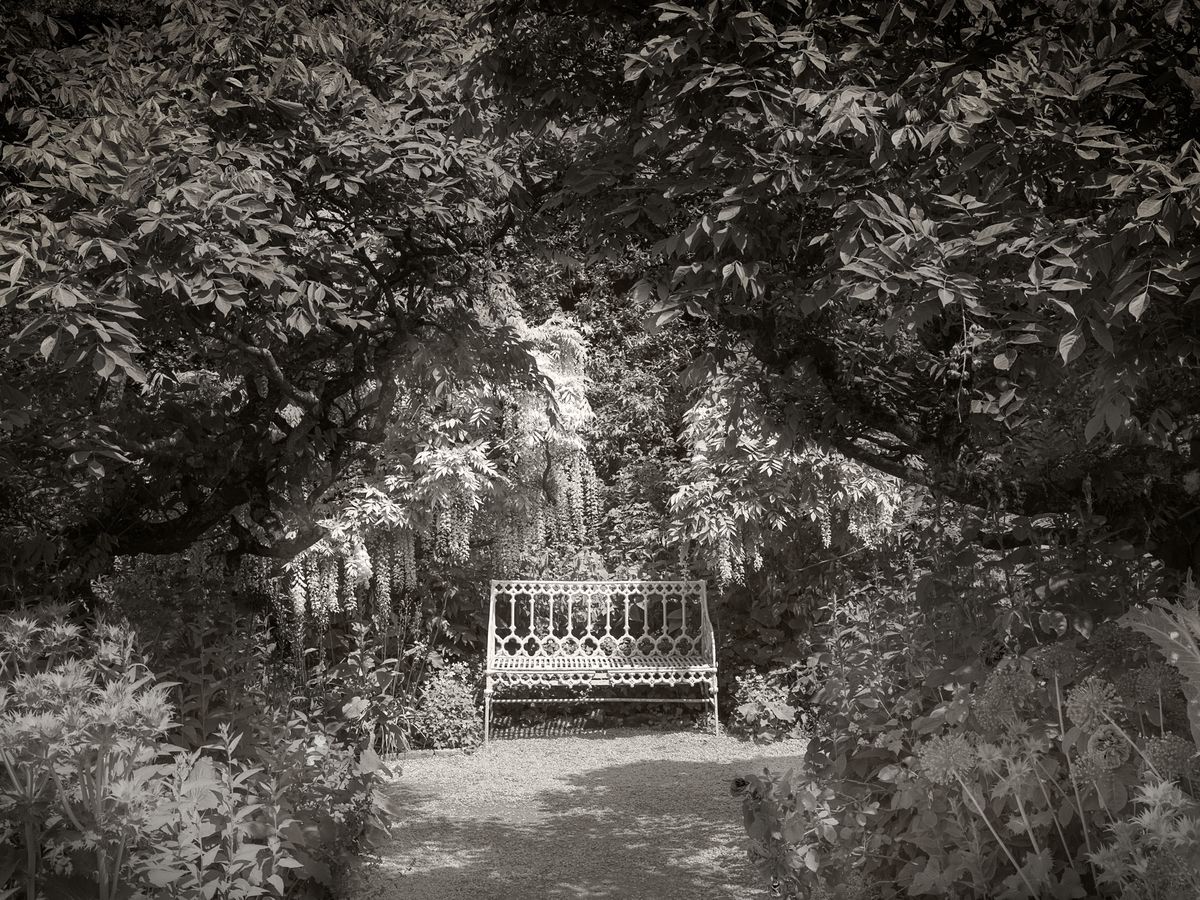 The Gardens BW_24.jpg
