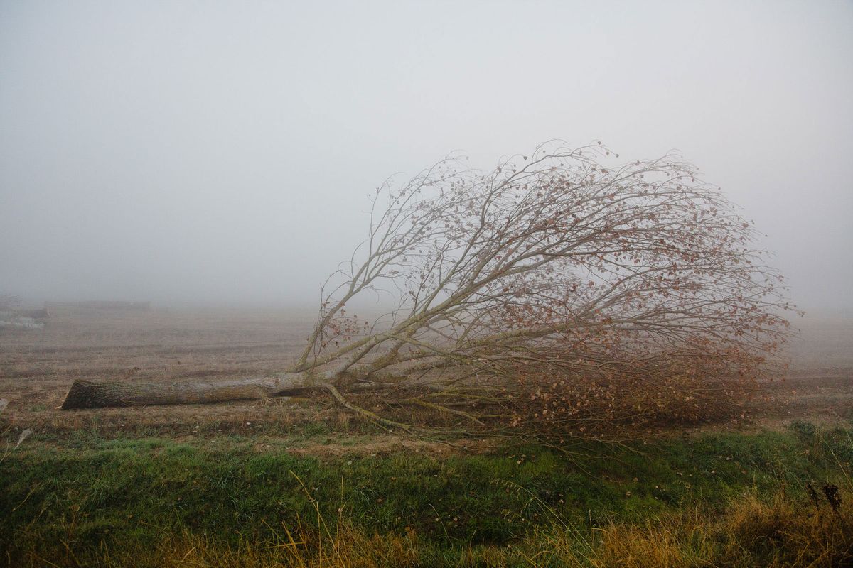 1tuscany_landscapes_02.jpg