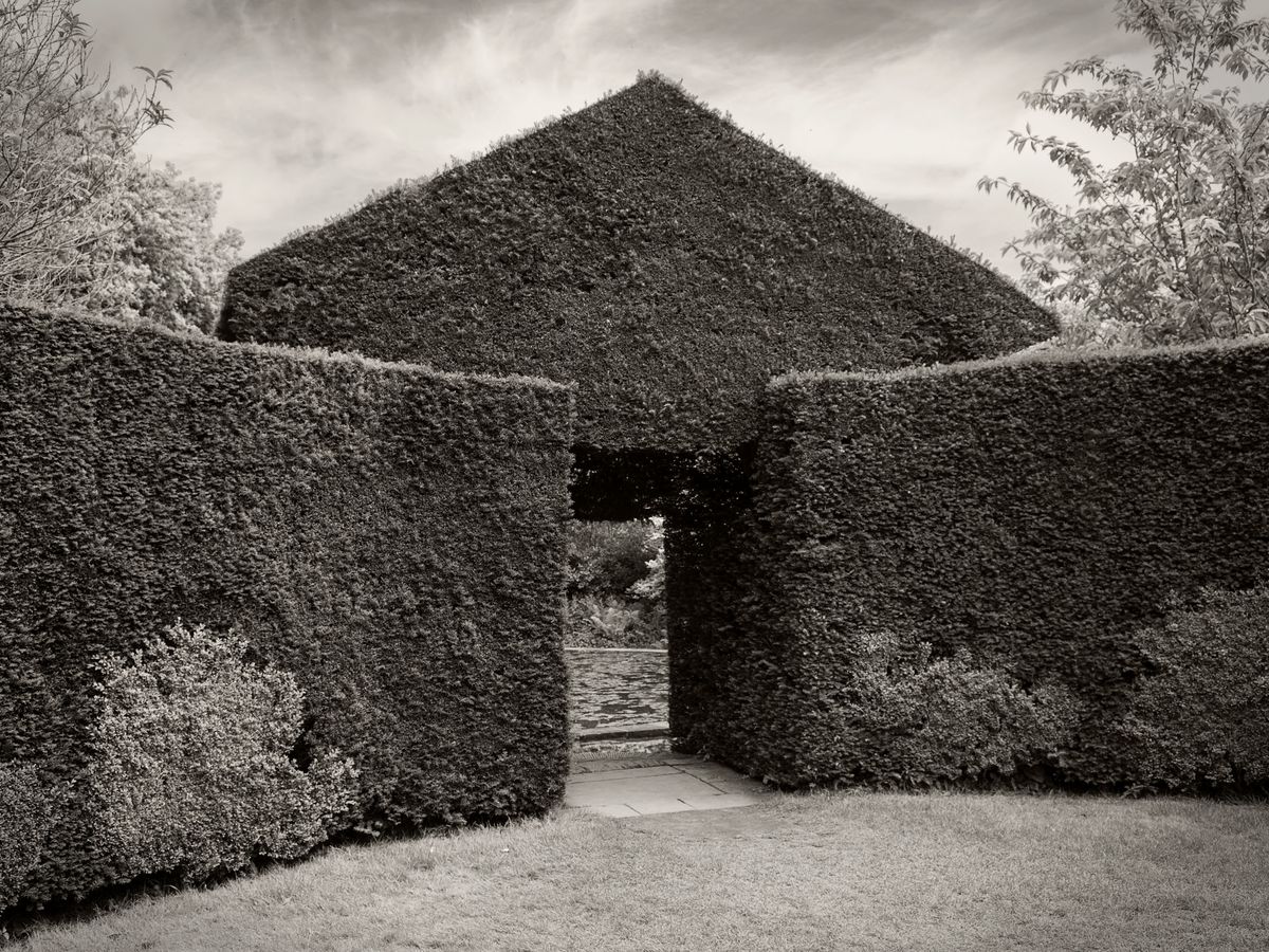 The Gardens BW_22.jpg