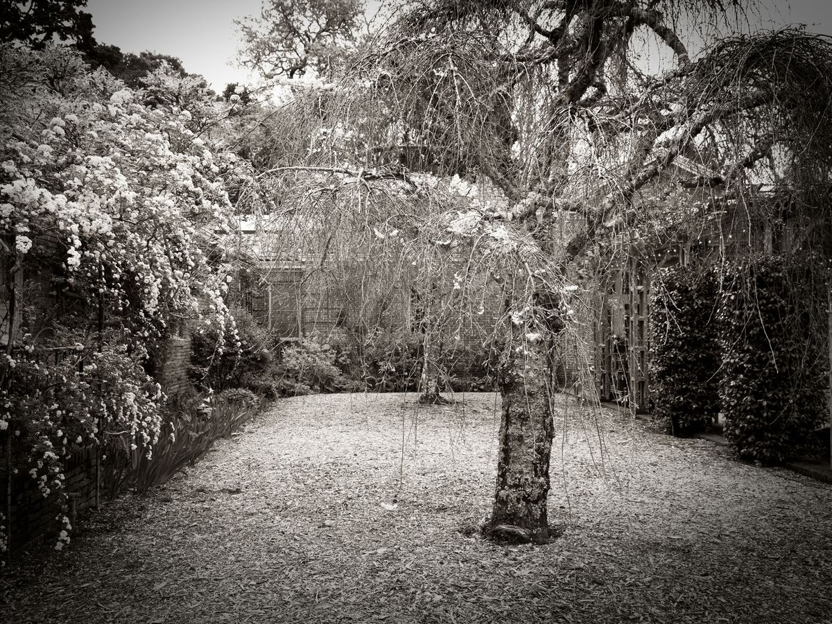 The Gardens BW_10.jpg