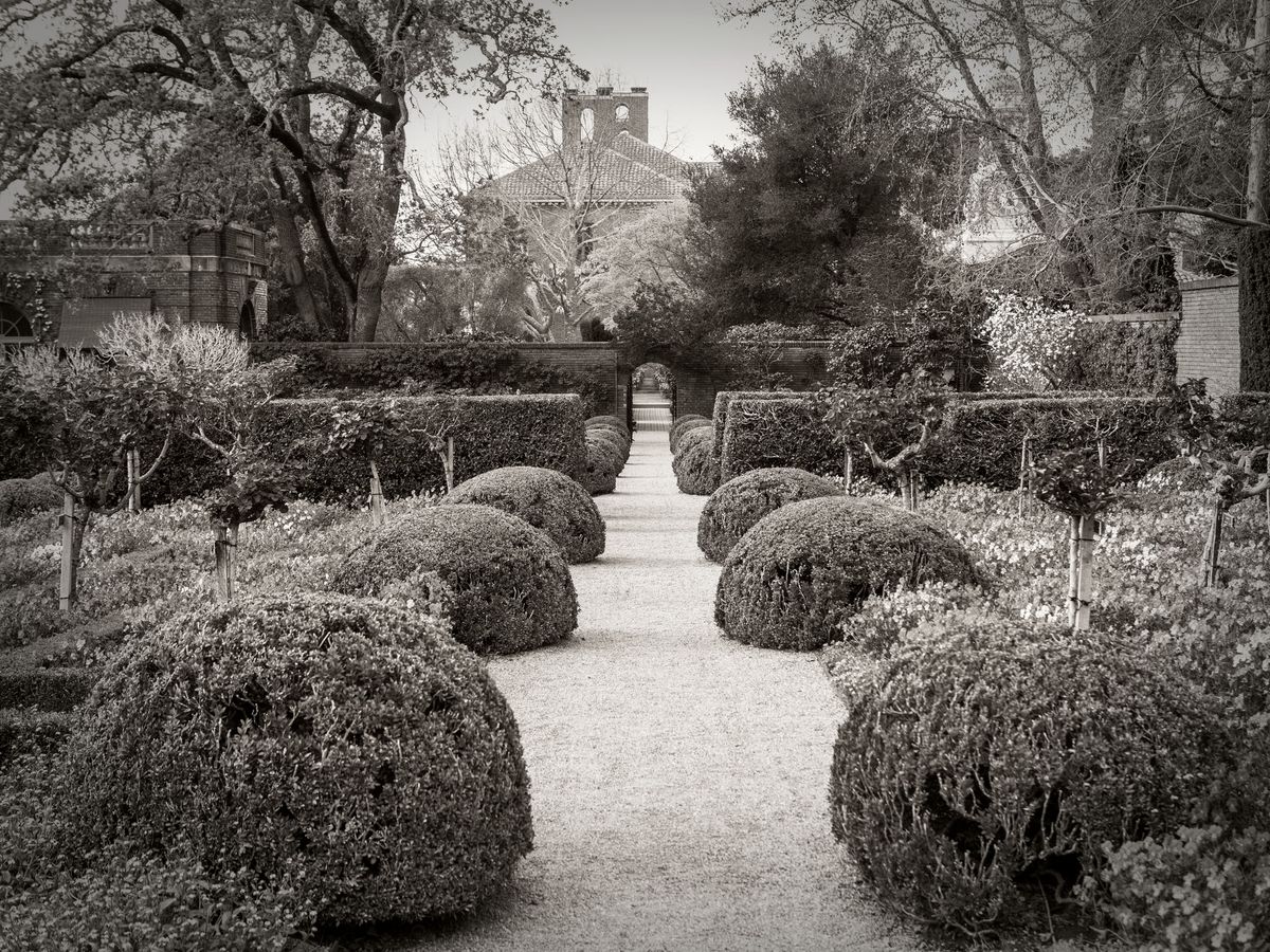 The Gardens BW_07.jpg