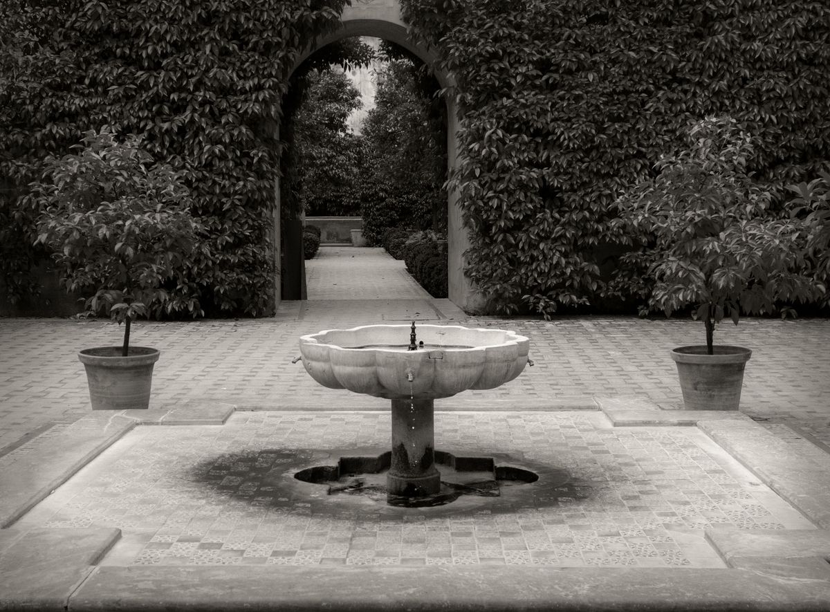 The Gardens BW_26.jpg