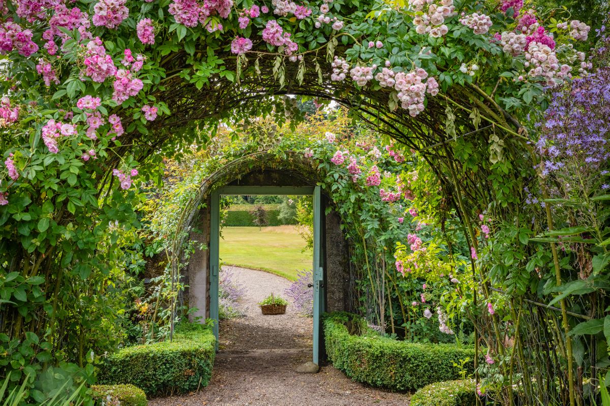 Looking out the Entry Gate