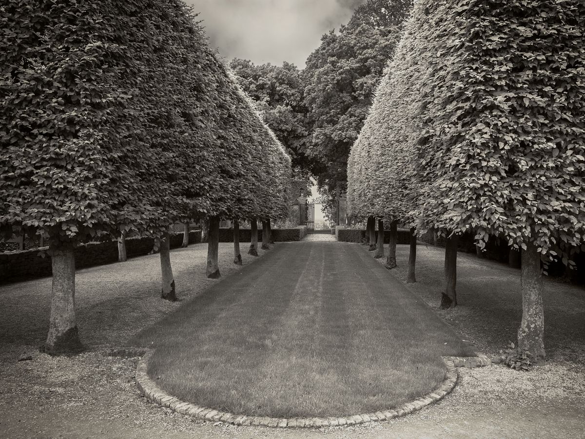The Gardens BW_21.jpg