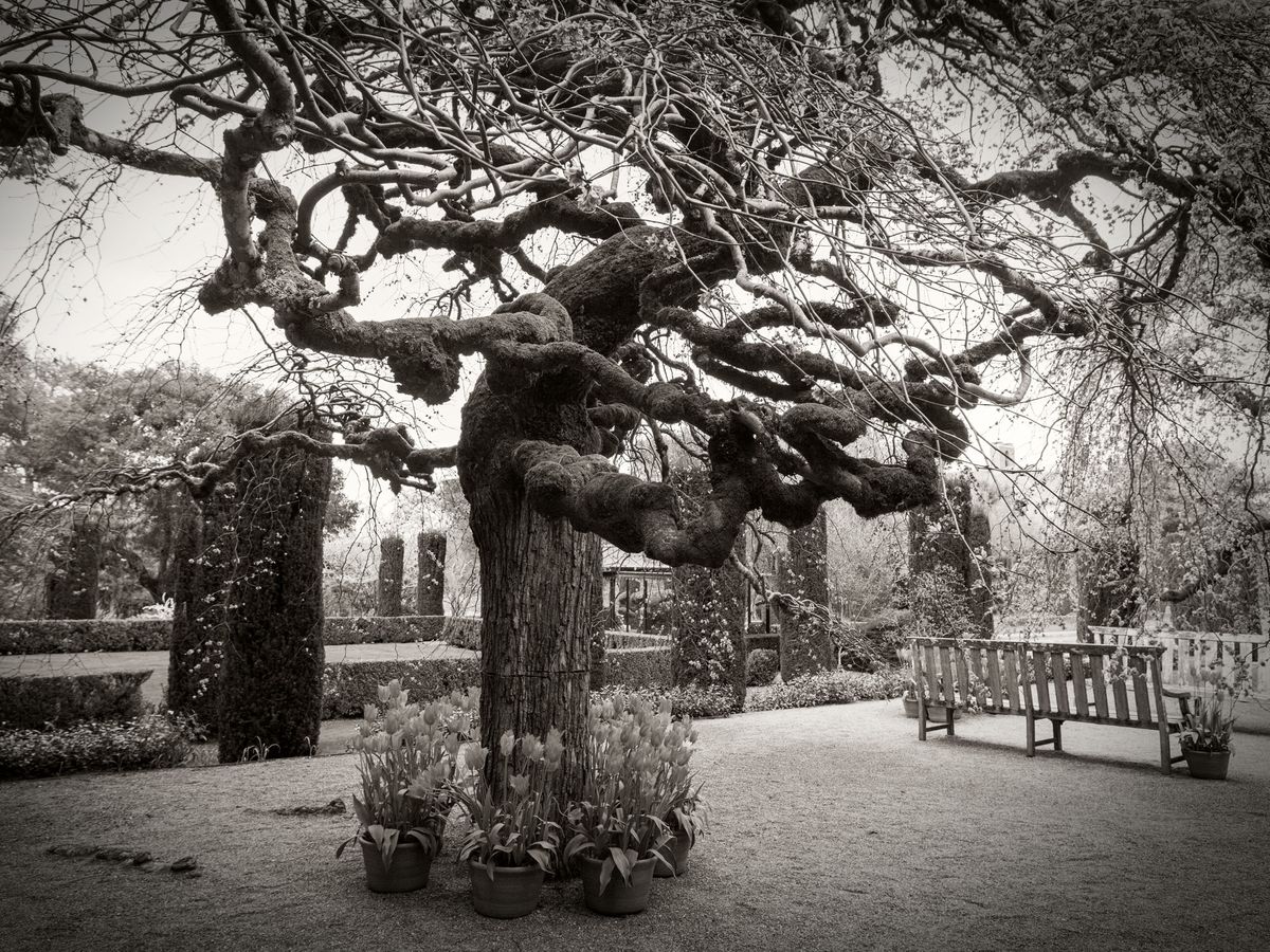 The Gardens BW_09.jpg