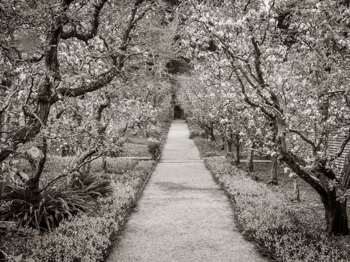 The Gardens BW_17.jpg