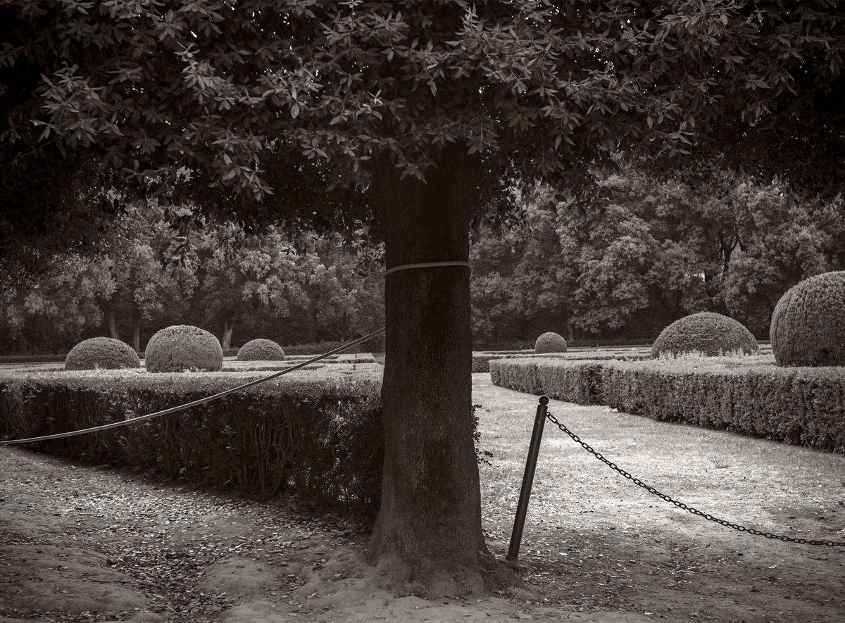 The Gardens BW_25.jpg