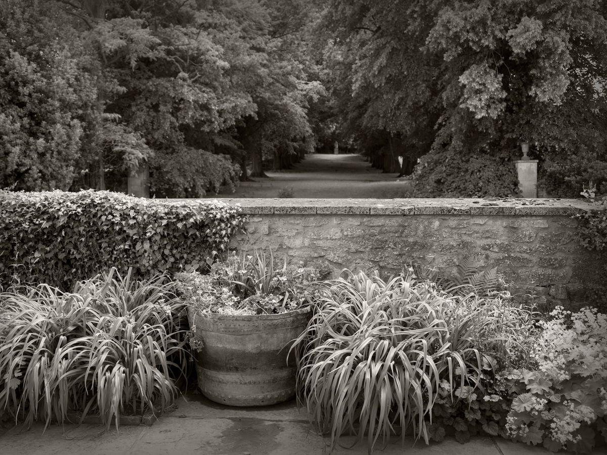 The Gardens BW_23.jpg