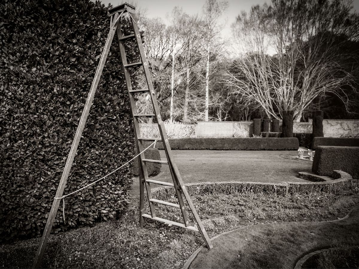 The Gardens BW_08.jpg