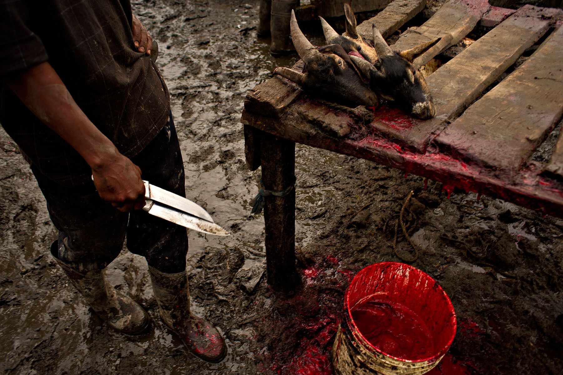 Port Au Prince, Haiti 2011