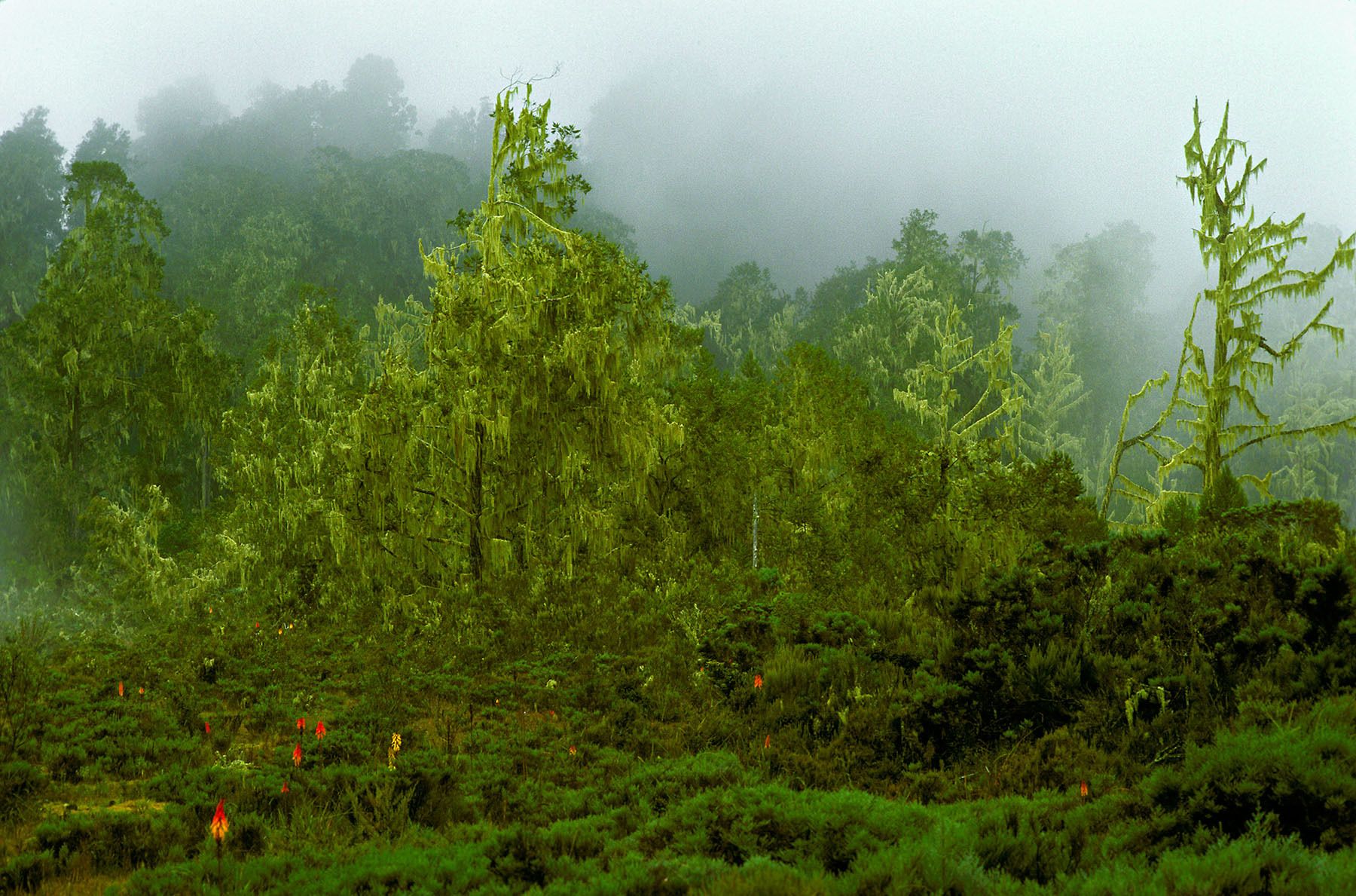 Meru National Park, Kenya