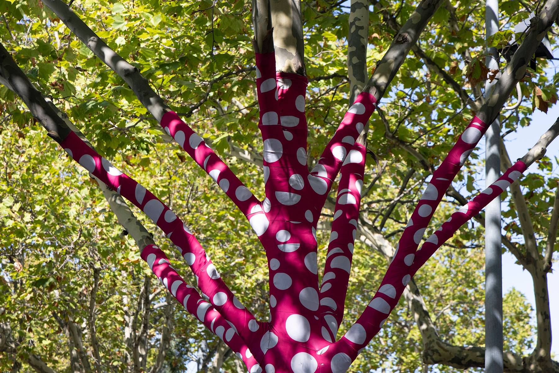Tree Wraps, Melbourne, Australia