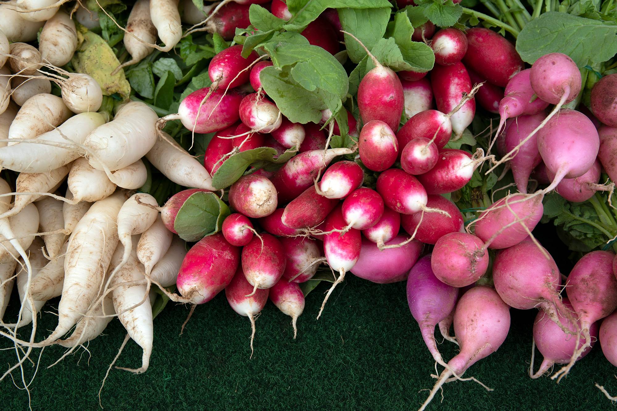 Radishes