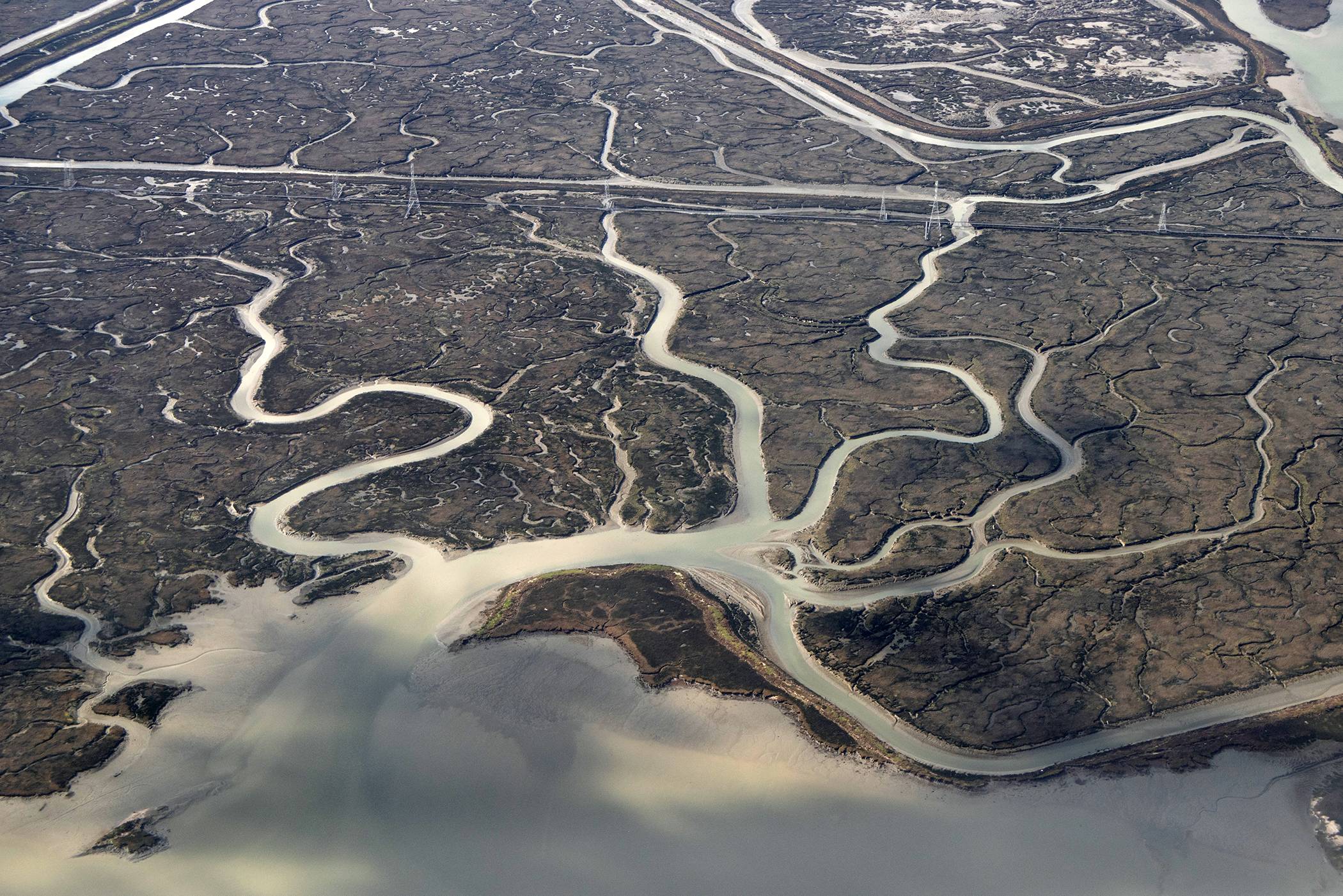 Salt Marsh Tributaries Bay Area, San Francisco