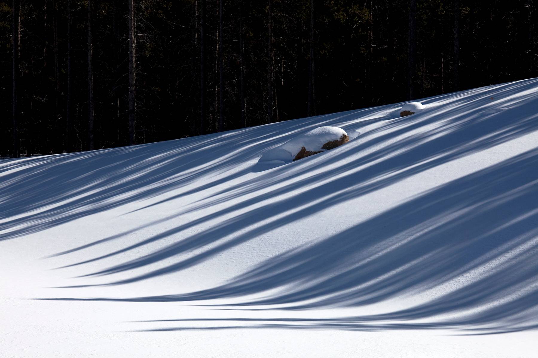 Snow and Shadows, Wyoming