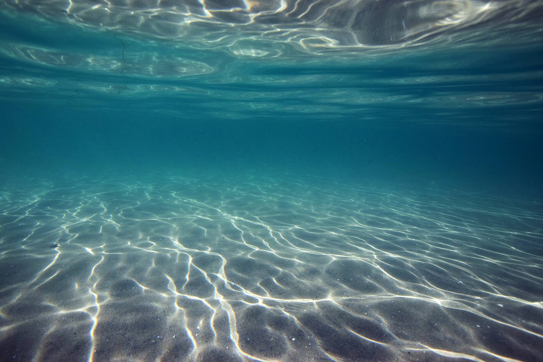 Pacific, La Jolla Shores