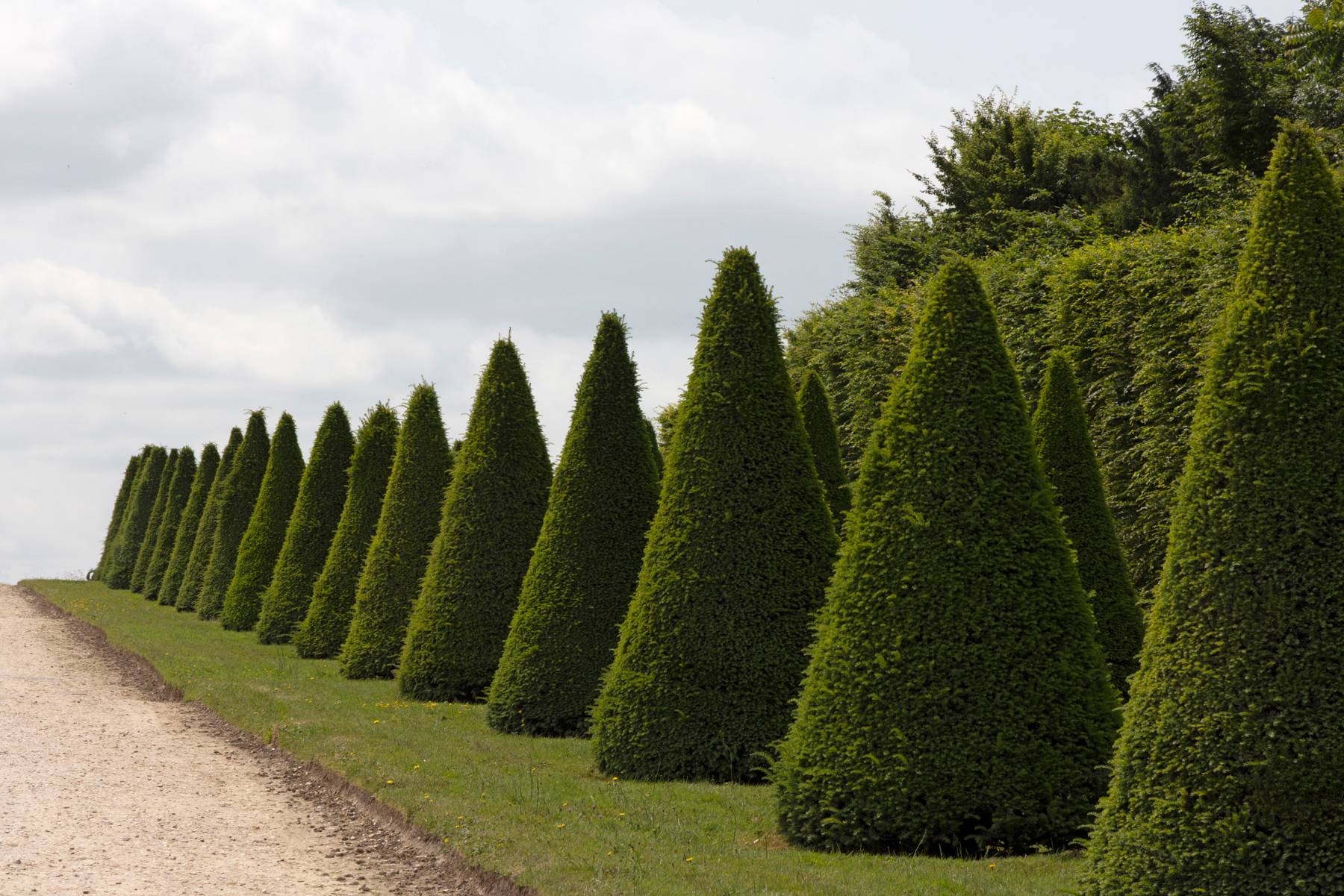Versailles, Topiary