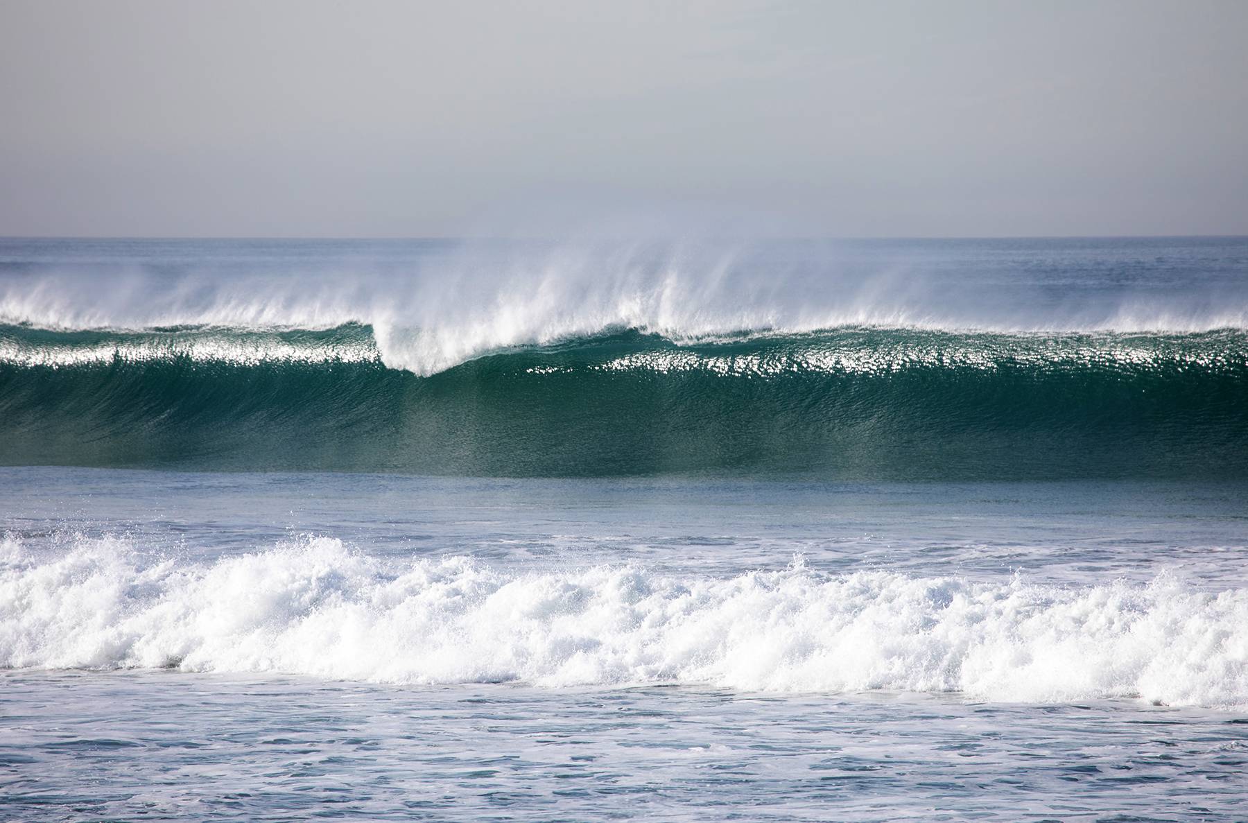 Big Swell, Torrey Pines, California