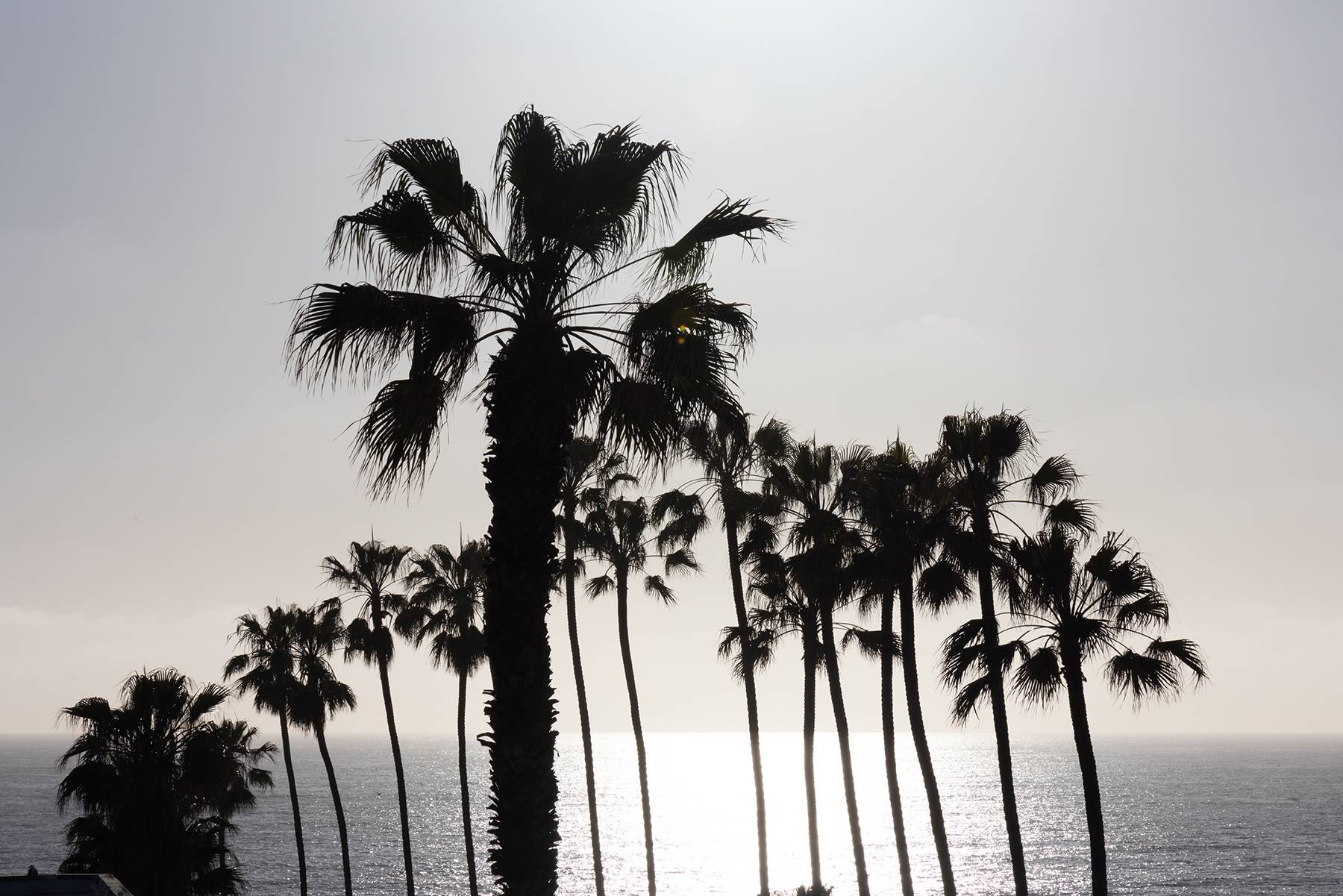 Looking West, California